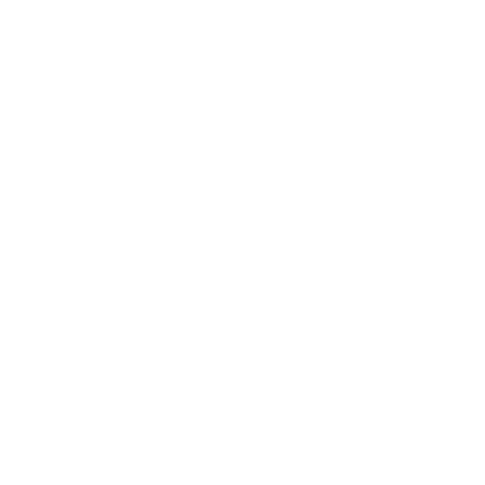 Street Smart Logo
