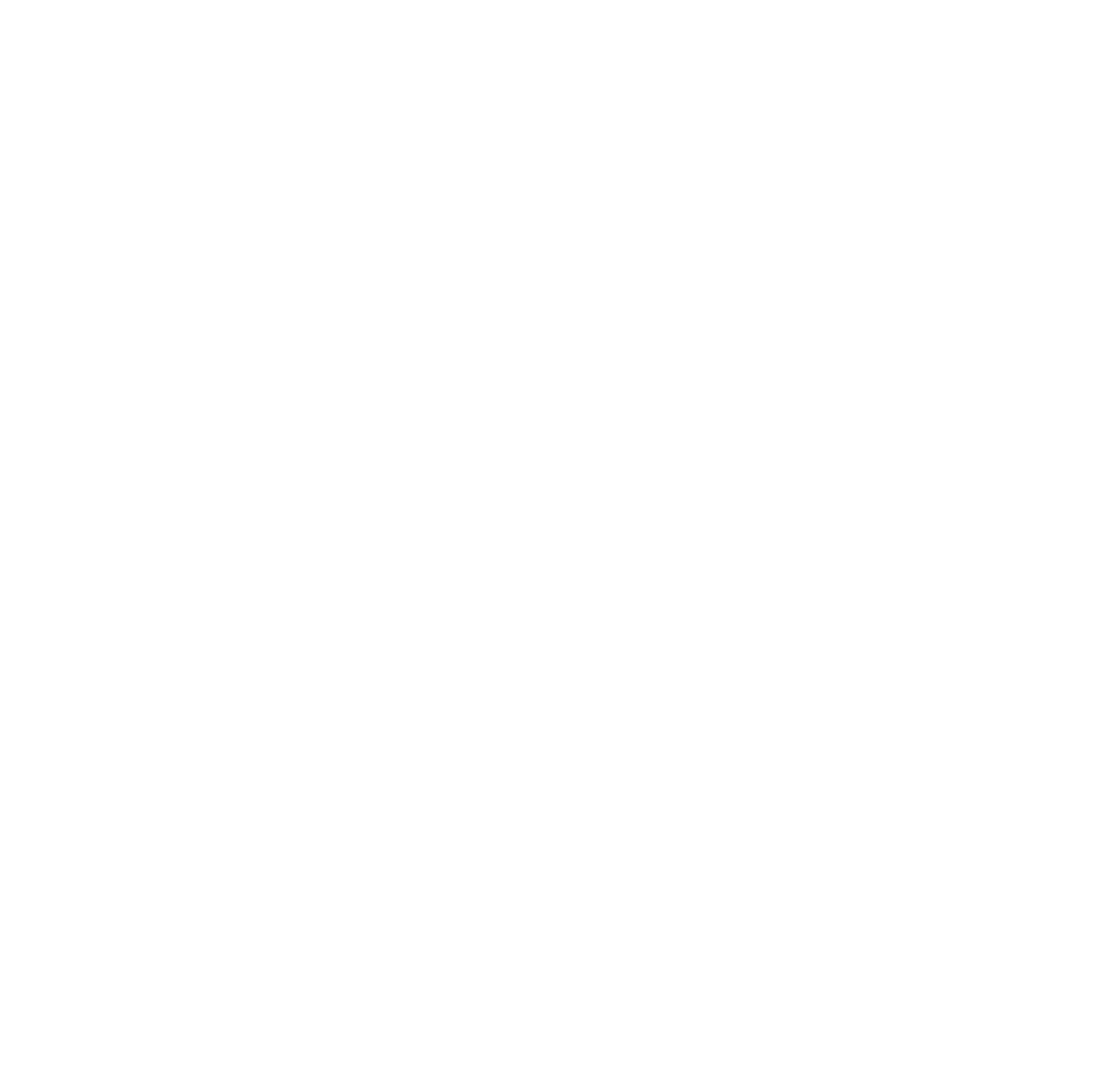 Street Smart logo